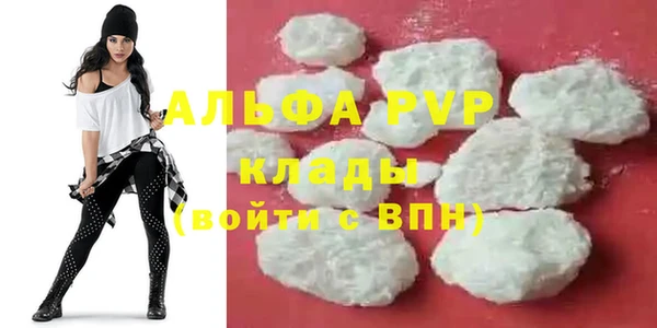 apvp Алзамай