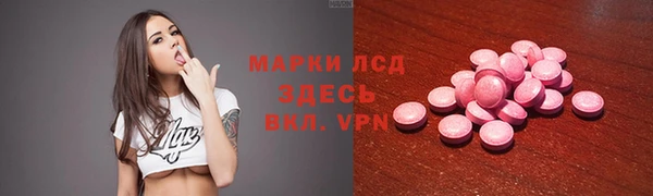 apvp Алзамай