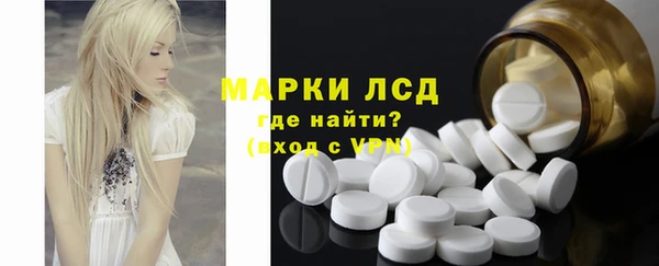 apvp Алзамай