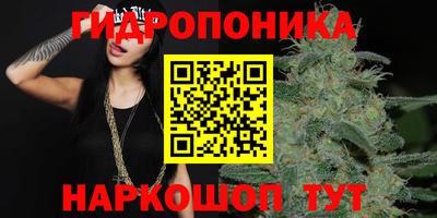 винт Ипатово