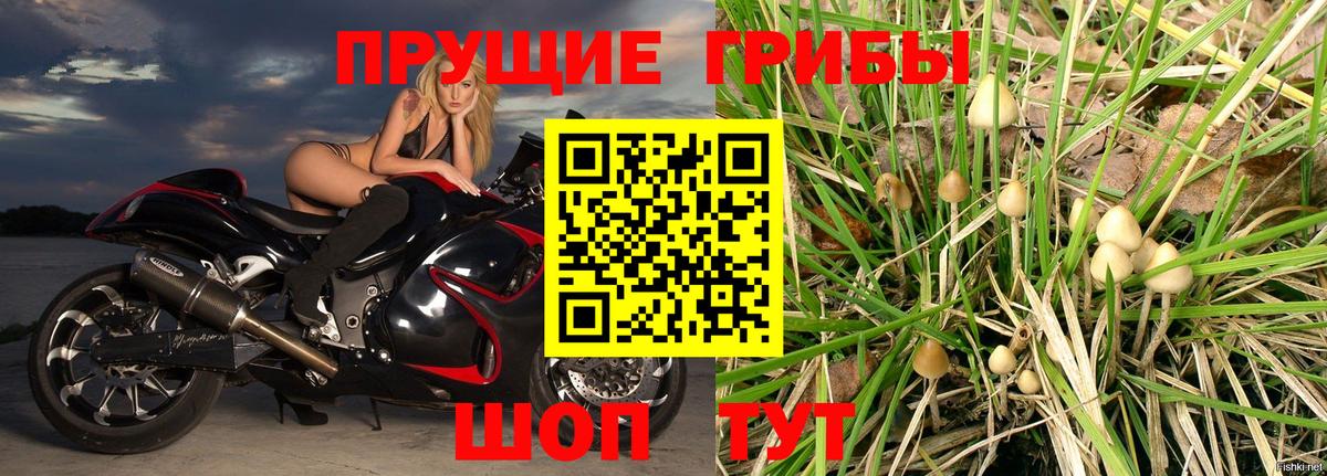 Галлюциногенные грибы мухоморы  Псилоцибиновые грибы Psilocybine cubensis  дарнет шоп  Вход с VPN  Нарткала 